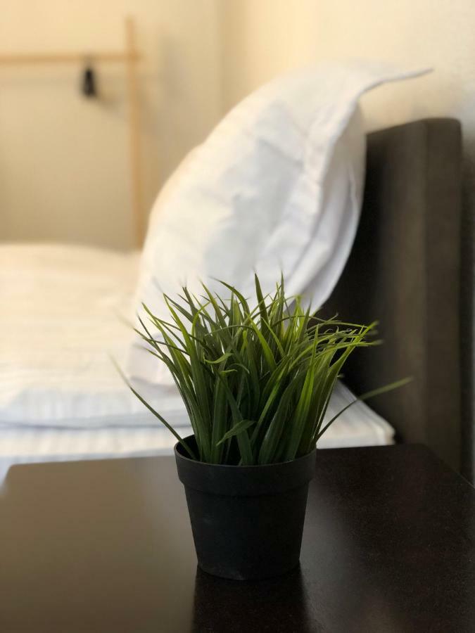 Musik Apartments Old Town 锡比乌 外观 照片